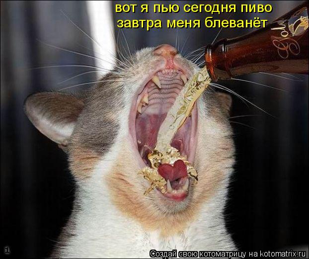 вот я пью сегодня пиво завтра меня блеванёт... Котоматрица: вот я пью сегодня пиво завтра меня блеванёт