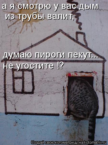 Котоматрица: а я смотрю у вас дым   из трубы валит, думаю пироги пекут... не угостите !?