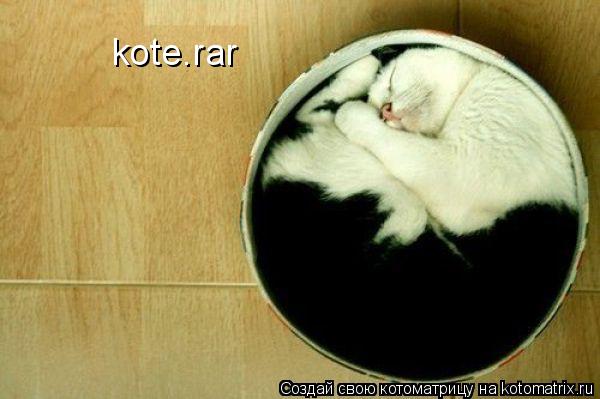 kote.rar... Котоматрица: kote.rar