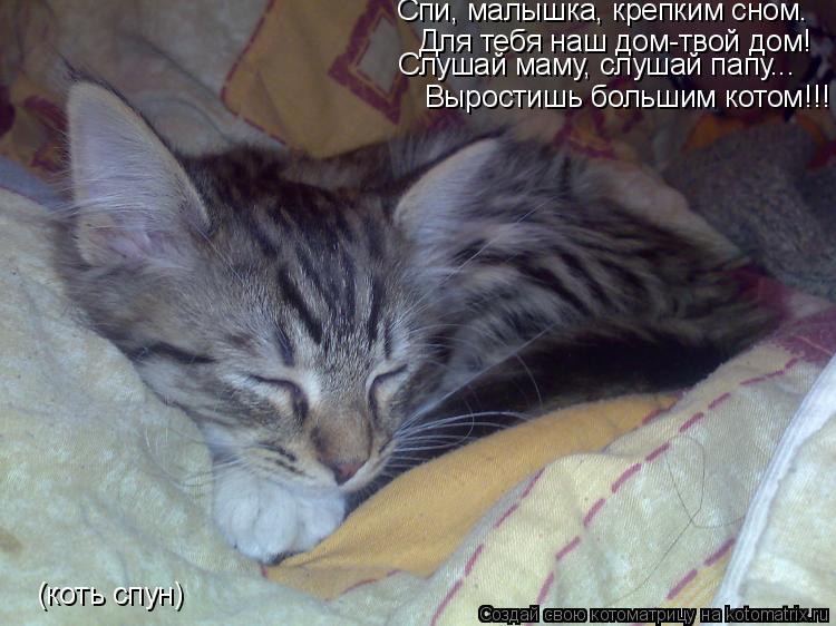 Спи, малышка, крепким сном. Для тебя наш дом-твой дом! Слушай маму, слушай папу... Выростишь большим ... Котоматрица: Спи, малышка, крепким сном. Для тебя наш дом-твой дом! Слушай маму, слушай папу... Выростишь большим котом!!! (коть спун)