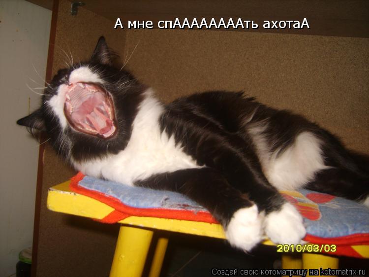 А мне спААААААААть ахотаА... Котоматрица: А мне спААААААААть ахотаА