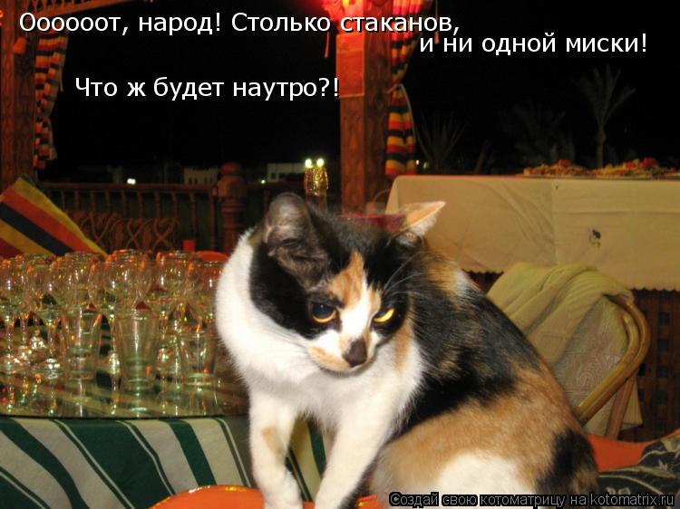 Оооооот, народ! Столько стаканов, и ни одной миски! Что ж будет наутро?!... Котоматрица: Оооооот, народ! Столько стаканов, и ни одной миски! Что ж будет наутро?!