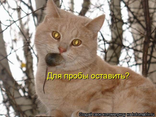 Для пробы оставить?... Котоматрица: Для пробы оставить?