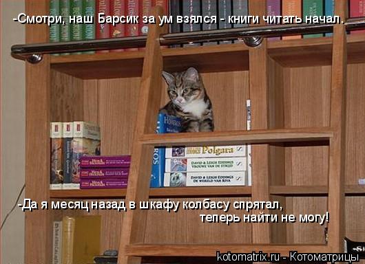 -Смотри, наш Барсик за ум взялся - книги читать начал. -Да я месяц назад в шкафу колбасу спрятал, теп... Котоматрица: -Смотри, наш Барсик за ум взялся - книги читать начал. -Да я месяц назад в шкафу колбасу спрятал, теперь найти не могу!
