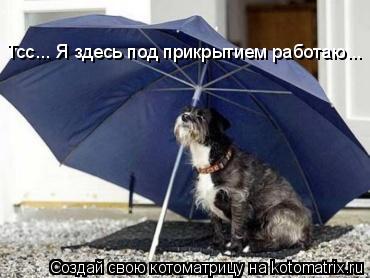 Тсс... Я здесь под прикрытием работаю...... Котоматрица: Тсс... Я здесь под прикрытием работаю...