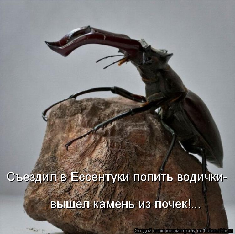 Съездил в Ессентуки попить водички- вышел камень из почек!...... Котоматрица: Съездил в Ессентуки попить водички- вышел камень из почек!...