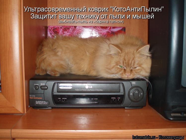 Ультрасовременный коврик "КотоАнтиПылин" Защитит вашу технику от пыли и мышей (выбивать пыль из коври... Котоматрица: Ультрасовременный коврик "КотоАнтиПылин" Защитит вашу технику от пыли и мышей (выбивать пыль из коврика тапком)