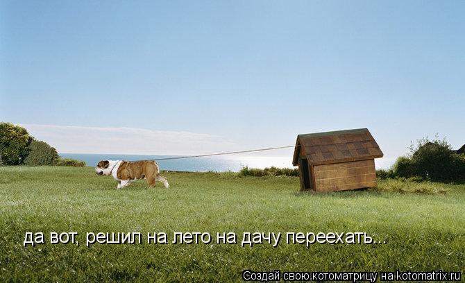 да вот, решил на лето на дачу переехать...... Котоматрица: да вот, решил на лето на дачу переехать...