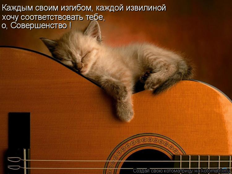 Каждым своим изгибом, каждой извилиной хочу соответствовать тебе, о, Совершенство !... Котоматрица: Каждым своим изгибом, каждой извилиной хочу соответствовать тебе, о, Совершенство !