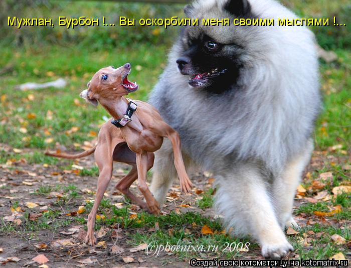 Мужлан, Бурбон !... Вы оскорбили меня своими мыслями !...... Котоматрица: Мужлан, Бурбон !... Вы оскорбили меня своими мыслями !...