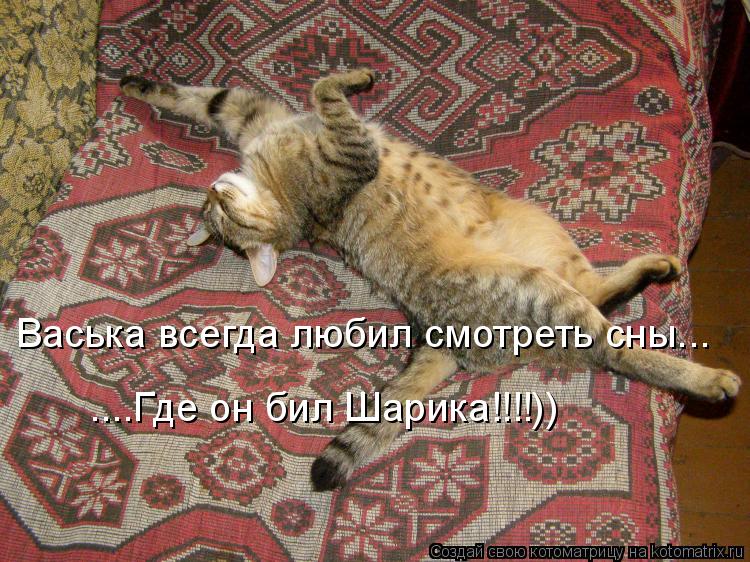 Васька всегда любил смотреть сны... ....Где он бил Шарика!!!!))... Котоматрица: Васька всегда любил смотреть сны... ....Где он бил Шарика!!!!))