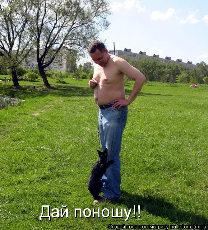 Дай поношу!!... Котоматрица: Дай поношу!!