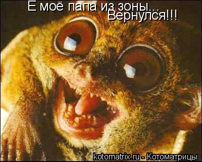 Е моё папа из зоны... Вернулся!!!... Котоматрица: Е моё папа из зоны... Вернулся!!!