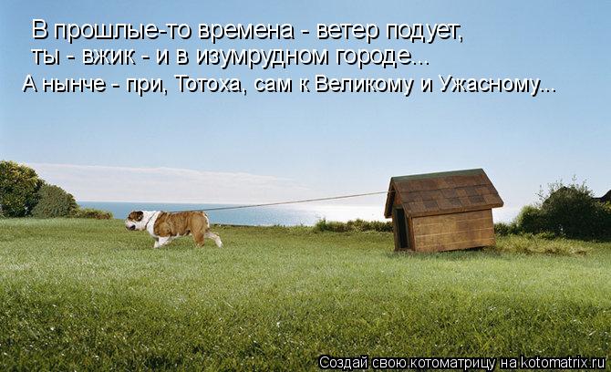 В прошлые-то времена - ветер подует, ты - вжик - и в изумрудном городе... А нынче - при, Тотоха, сам ... Котоматрица: В прошлые-то времена - ветер подует, ты - вжик - и в изумрудном городе... А нынче - при, Тотоха, сам к Великому и Ужасному...