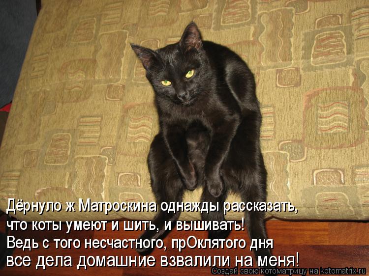 Котоматрица: Дёрнуло ж Матроскина однажды рассказать, что коты умеют и шить, и вышивать! Ведь с того несчастного, прОклятого дня все дела домашние взвали