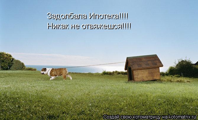 Задолбала Ипотека!!!! Никак не отвяжешся!!!!... Котоматрица: Задолбала Ипотека!!!! Никак не отвяжешся!!!!