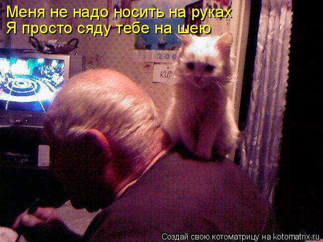 Меня не надо носить на руках Я просто сяду тебе на шею... Котоматрица: Меня не надо носить на руках Я просто сяду тебе на шею