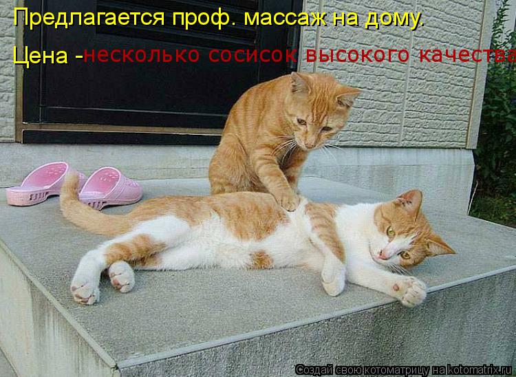 Предлагается проф. массаж на дому. Цена - несколько сосисок высокого качества... Котоматрица: Предлагается проф. массаж на дому. Цена - несколько сосисок высокого качества