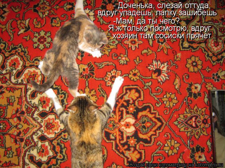 - Доченька, слезай оттуда, вдруг упадешь, лапку зашибешь -Мам, да ты чего? Я ж только посмотрю, вдруг... Котоматрица: - Доченька, слезай оттуда, вдруг упадешь, лапку зашибешь -Мам, да ты чего? Я ж только посмотрю, вдруг хозяин там сосиски прячет