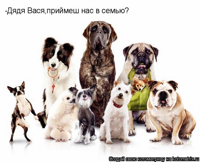 -Дядя Вася,приймеш нас в семью?... Котоматрица: -Дядя Вася,приймеш нас в семью?