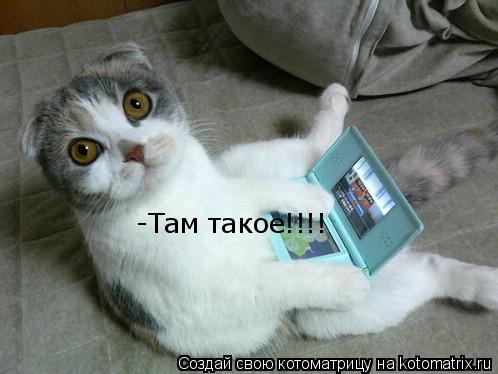-Там такое!!!!... Котоматрица: -Там такое!!!!