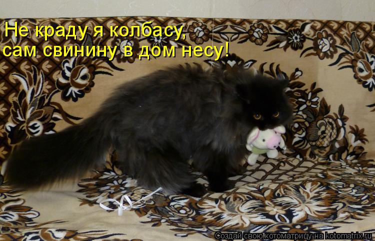 Котоматрица: Не краду я колбасу,  сам свинину в дом несу!