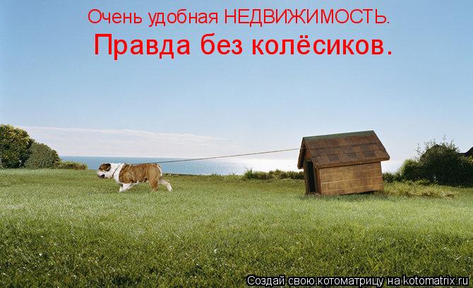 Очень удобная НЕДВИЖИМОСТЬ. Правда без колёсиков.... Котоматрица: Очень удобная НЕДВИЖИМОСТЬ. Правда без колёсиков.