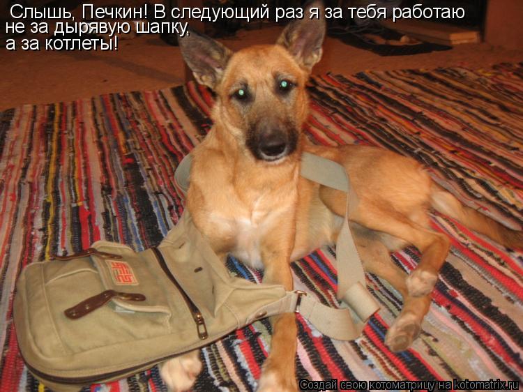 Слышь, Печкин! В следующий раз я за тебя работаю не за дырявую шапку, а за котлеты!... Котоматрица: Слышь, Печкин! В следующий раз я за тебя работаю не за дырявую шапку, а за котлеты!