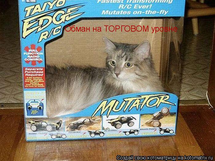 Обман на ТОРГОВОМ уровне... Котоматрица: Обман на ТОРГОВОМ уровне