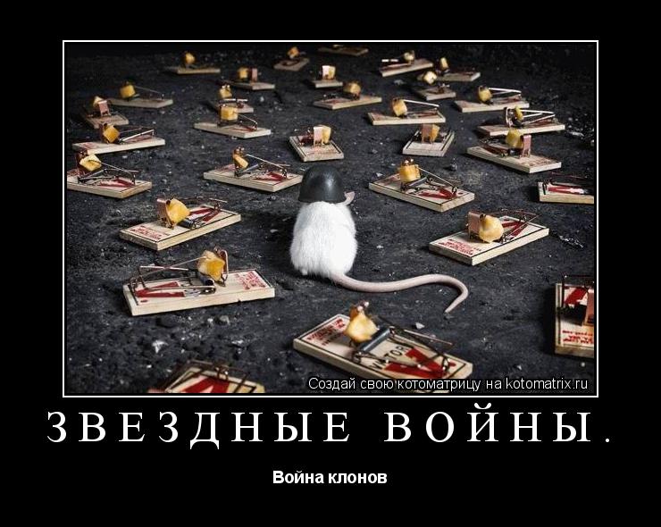 ЗВЁЗДНЫЕ ВОЙНЫ. Война клонов... Котоматрица: ЗВЁЗДНЫЕ ВОЙНЫ. Война клонов