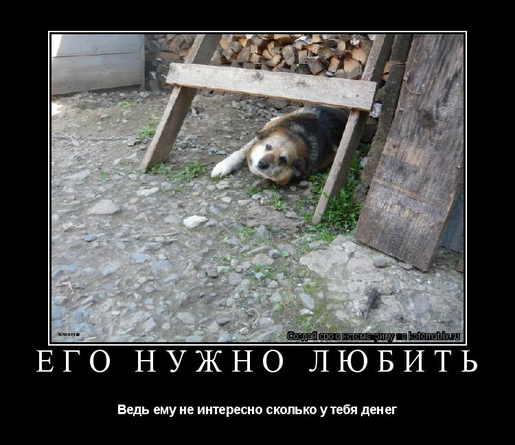 Его нужно любить Ведь ему не интересно сколько у тебя денег... Котоматрица: Его нужно любить Ведь ему не интересно сколько у тебя денег