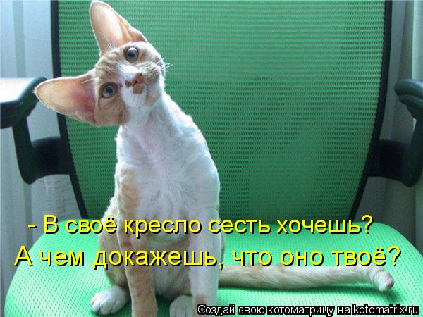 - В своё кресло сесть хочешь? А чем докажешь, что оно твоё?... Котоматрица: - В своё кресло сесть хочешь? А чем докажешь, что оно твоё?