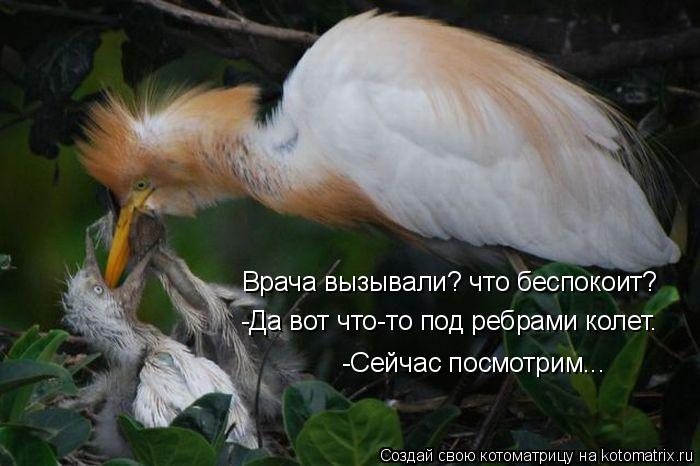 Врача вызывали? что беспокоит? -Да вот что-то под ребрами колет. -Сейчас посмотрим...... Котоматрица: Врача вызывали? что беспокоит? -Да вот что-то под ребрами колет. -Сейчас посмотрим...