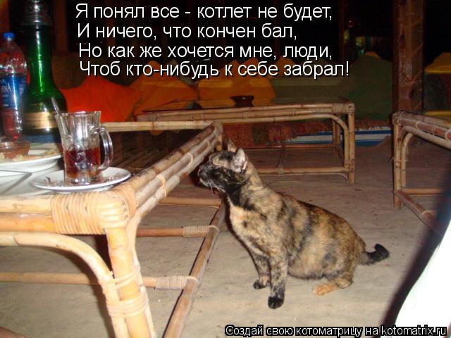 Я понял все - котлет не будет, И ничего, что кончен бал, Но как же хочется мне, люди, Чтоб кто-нибудь... Котоматрица: Я понял все - котлет не будет, И ничего, что кончен бал, Но как же хочется мне, люди, Чтоб кто-нибудь к себе забрал!
