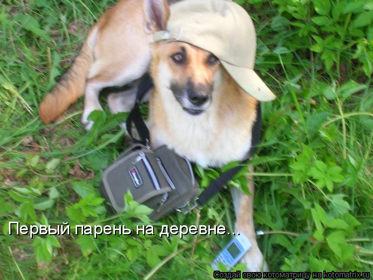 Первый парень на деревне...... Котоматрица: Первый парень на деревне...