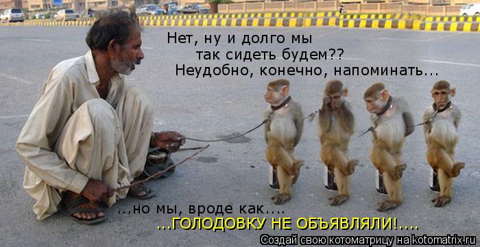 Нет, ну и долго мы так сидеть будем?? Неудобно, конечно, напоминать... ...но мы, вроде как.... ...ГОЛ... Котоматрица: Нет, ну и долго мы так сидеть будем?? Неудобно, конечно, напоминать... ...но мы, вроде как.... ...ГОЛОДОВКУ НЕ ОБЪЯВЛЯЛИ!....