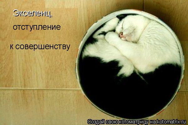 Экселенц, отступление к совершенству... Котоматрица: Экселенц, отступление к совершенству