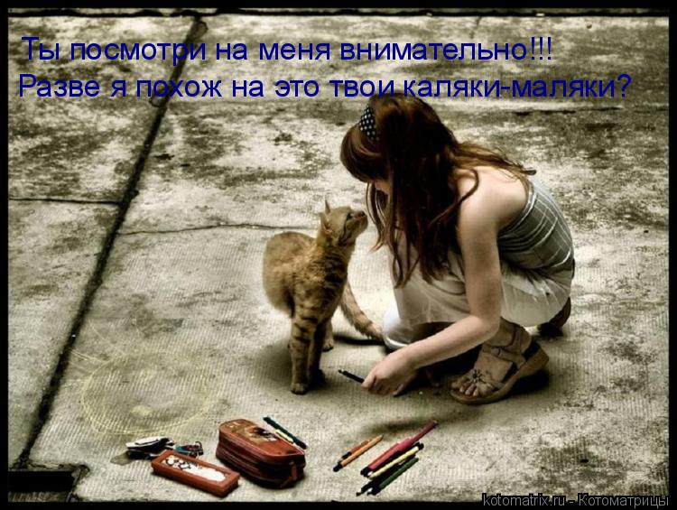 Ты посмотри на меня внимательно!!! Разве я похож на это твои каляки-маляки?... Котоматрица: Ты посмотри на меня внимательно!!! Разве я похож на это твои каляки-маляки?