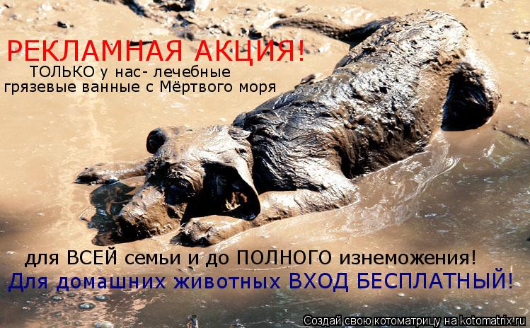 РЕКЛАМНАЯ АКЦИЯ! ТОЛЬКО у нас- лечебные грязевые ванные с Мёртвого моря для ВСЕЙ семьи и до ПОЛНОГО ... Котоматрица: РЕКЛАМНАЯ АКЦИЯ! ТОЛЬКО у нас- лечебные грязевые ванные с Мёртвого моря для ВСЕЙ семьи и до ПОЛНОГО изнеможения! Для домашних животных ВХОД