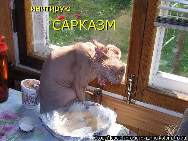 имитирую САРКАЗМ... Котоматрица: имитирую САРКАЗМ