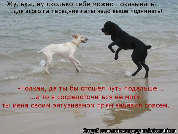 -Жулька, ну сколько тебе можно показывать- -Полкан, да ты бы отошёл чуть подальше... для этого па пер... Котоматрица: -Жулька, ну сколько тебе можно показывать- -Полкан, да ты бы отошёл чуть подальше... для этого па передние лапы надо выше поднимать! ты меня св