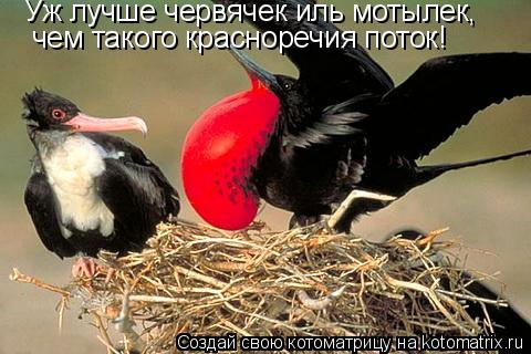 Уж лучше червячек иль мотылек, чем такого красноречия поток!... Котоматрица: Уж лучше червячек иль мотылек, чем такого красноречия поток!