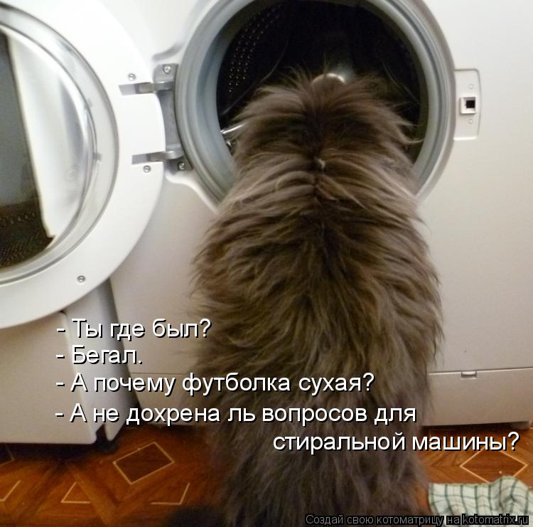 - Ты где был? - Бегал. - А почему футболка сухая? - А не дохрена ль вопросов для стиральной машины?... Котоматрица: - Ты где был? - Бегал. - А почему футболка сухая? - А не дохрена ль вопросов для стиральной машины?