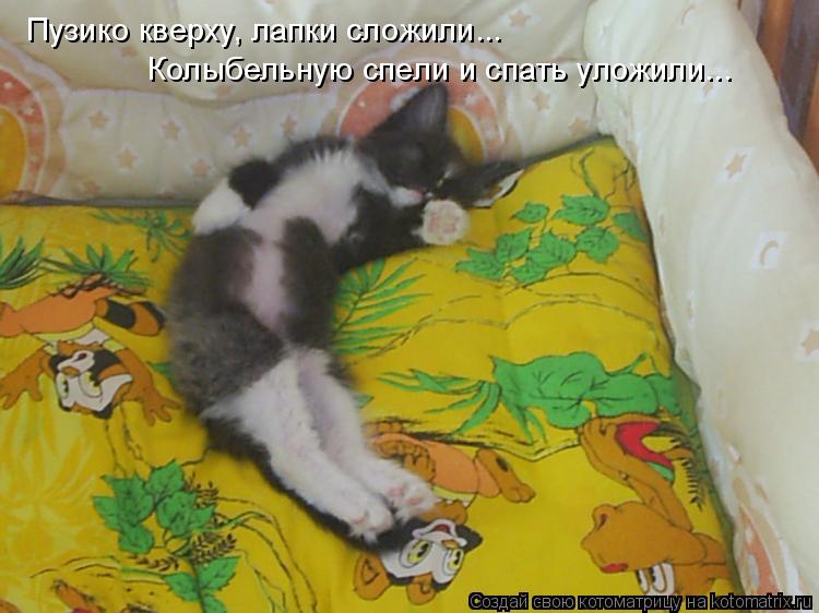 Пузико кверху, лапки сложили... Колыбельную спели и спать уложили...... Котоматрица: Пузико кверху, лапки сложили... Колыбельную спели и спать уложили...
