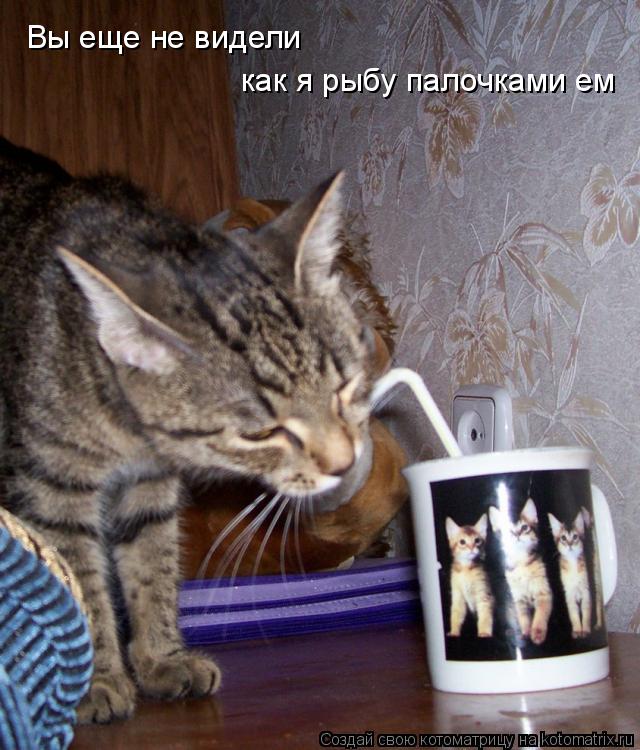 Вы еще не видели как я рыбу палочками ем... Котоматрица: Вы еще не видели как я рыбу палочками ем