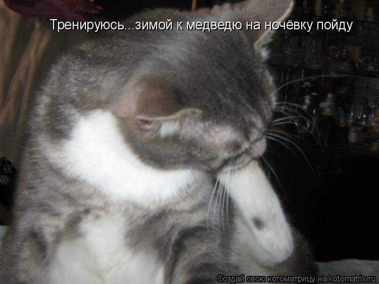 Тренируюсь...зимой к медведю на ночёвку пойду... Котоматрица: Тренируюсь...зимой к медведю на ночёвку пойду