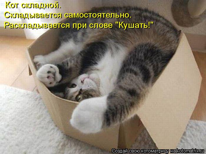 Кот складной. Складывается самостоятельно. Раскладывается при слове "Кушать!"... Котоматрица: Кот складной. Складывается самостоятельно. Раскладывается при слове "Кушать!"