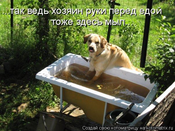 ...так ведь хозяин руки перед едой тоже здесь мыл...... Котоматрица: ...так ведь хозяин руки перед едой тоже здесь мыл...