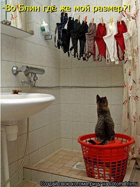 Во Блин где же мой размер?! -... Котоматрица: Во Блин где же мой размер?! -