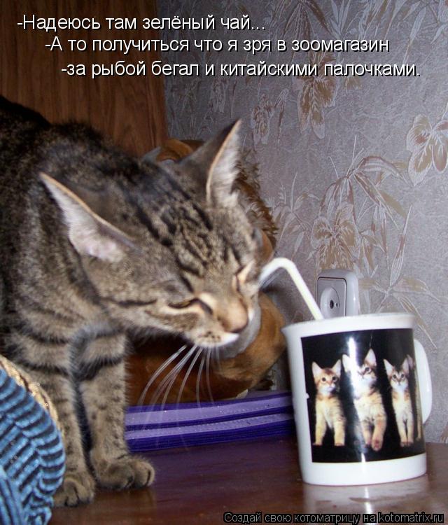 -Надеюсь там зелёный чай... -А то получиться что я зря в зоомагазин -за рыбой бегал и китайскими пало... Котоматрица: -Надеюсь там зелёный чай... -А то получиться что я зря в зоомагазин -за рыбой бегал и китайскими палочками.